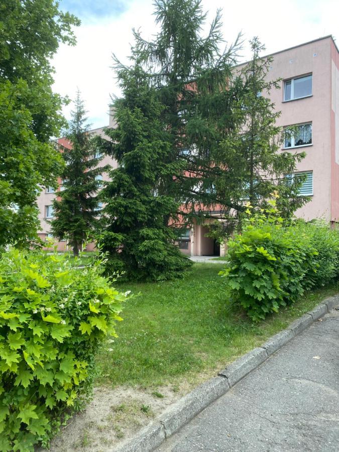 Zb Apartment Beige Piekary Śląskie Exterior foto